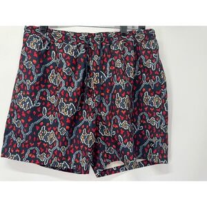 Outerknown Nomadic Printed Volley Shorts Mens Size‎ Med Hybrid 16" Outseam